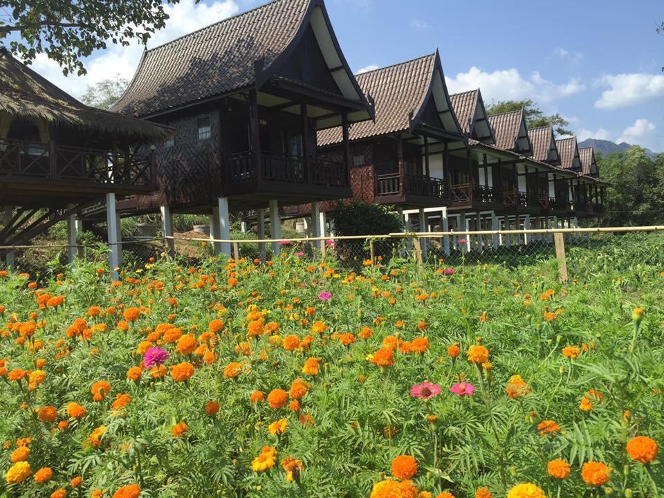 Cliff View Bungalows 방 비엥 외부 사진